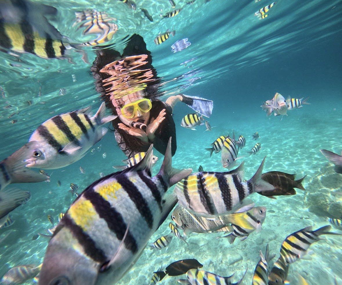Yellow-masked snorkeler surrounded by striped sergeant majors in clear turquoise shallows